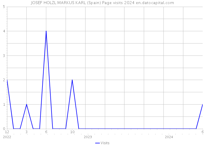 JOSEF HOLZL MARKUS KARL (Spain) Page visits 2024 