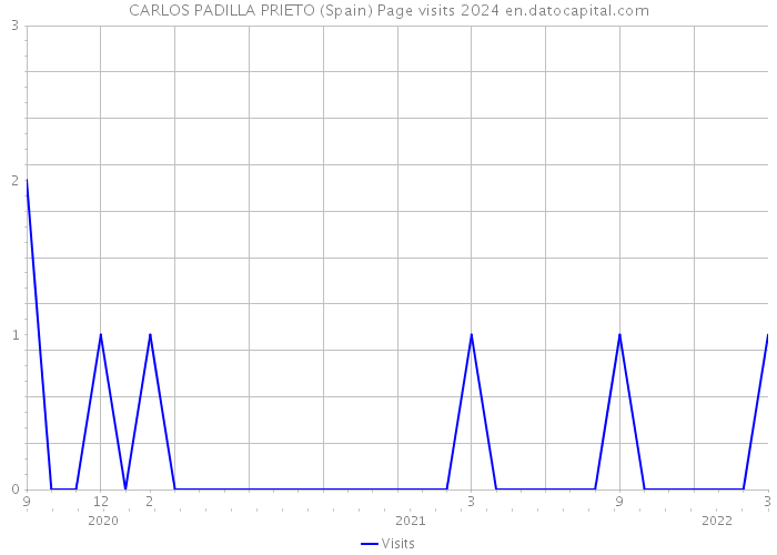 CARLOS PADILLA PRIETO (Spain) Page visits 2024 