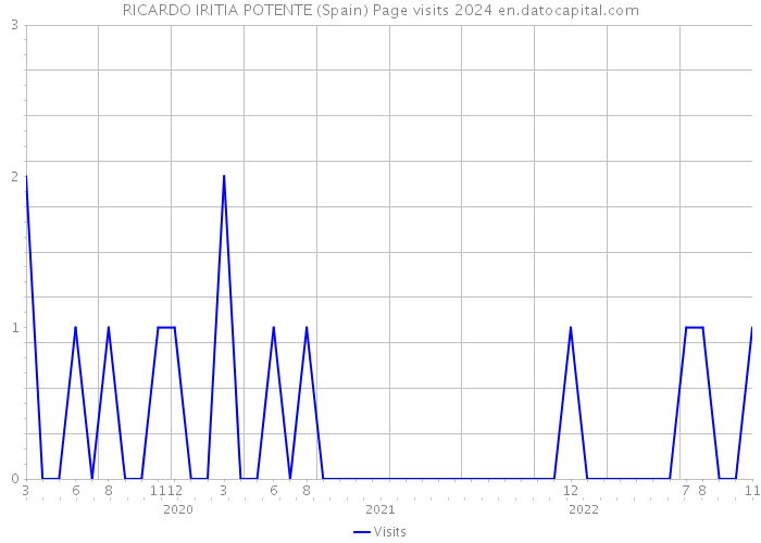 RICARDO IRITIA POTENTE (Spain) Page visits 2024 
