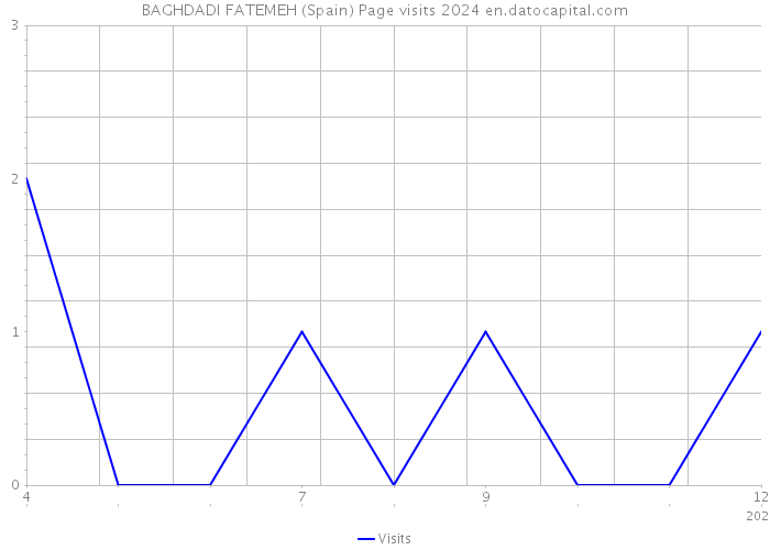 BAGHDADI FATEMEH (Spain) Page visits 2024 