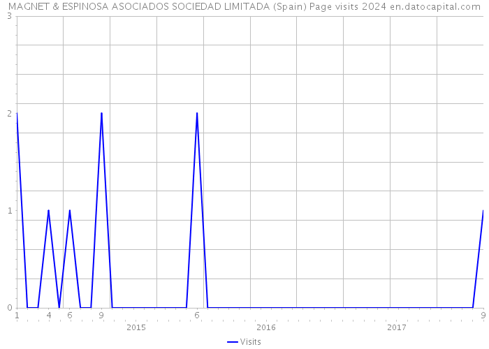 MAGNET & ESPINOSA ASOCIADOS SOCIEDAD LIMITADA (Spain) Page visits 2024 