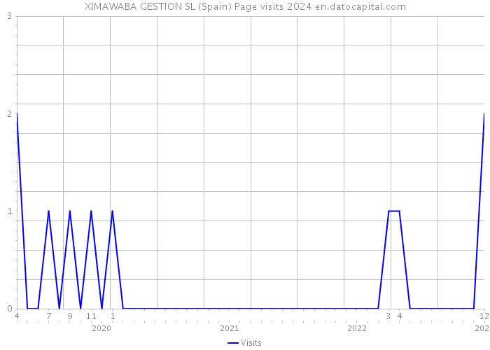 XIMAWABA GESTION SL (Spain) Page visits 2024 