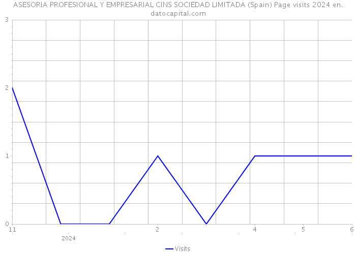 ASESORIA PROFESIONAL Y EMPRESARIAL CINS SOCIEDAD LIMITADA (Spain) Page visits 2024 