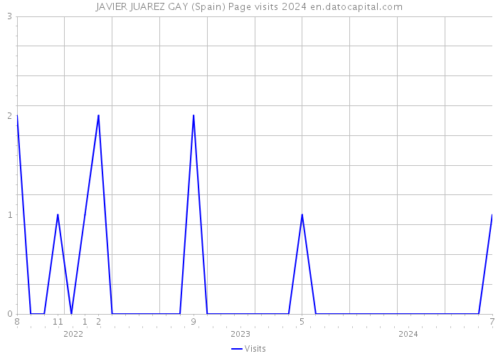 JAVIER JUAREZ GAY (Spain) Page visits 2024 