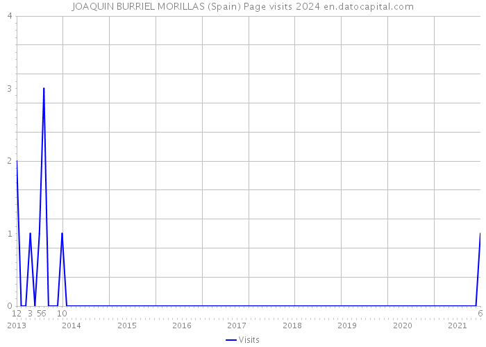 JOAQUIN BURRIEL MORILLAS (Spain) Page visits 2024 