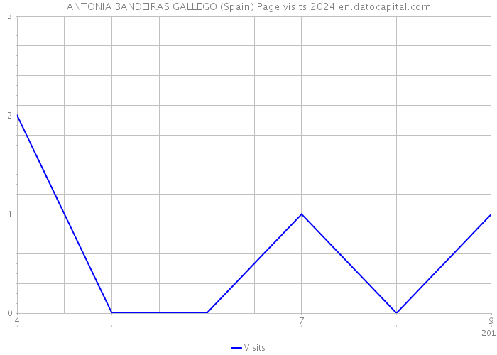 ANTONIA BANDEIRAS GALLEGO (Spain) Page visits 2024 