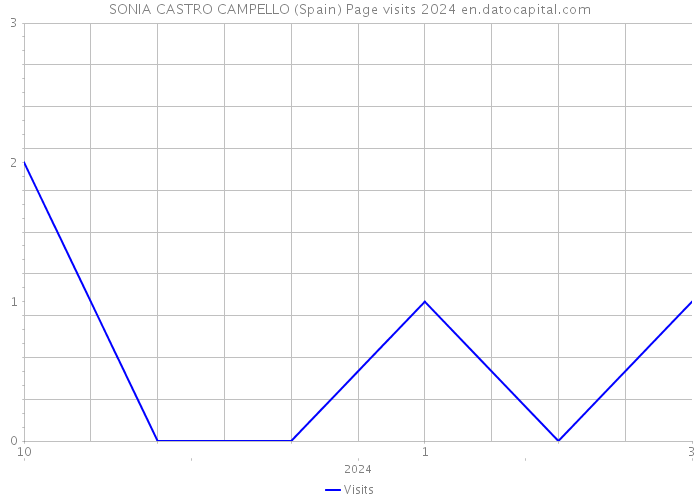 SONIA CASTRO CAMPELLO (Spain) Page visits 2024 