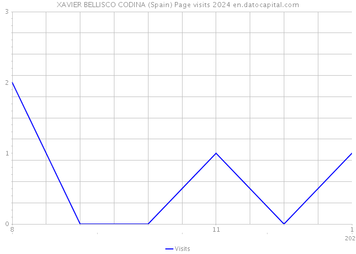 XAVIER BELLISCO CODINA (Spain) Page visits 2024 