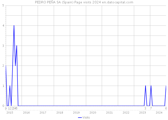 PEDRO PEÑA SA (Spain) Page visits 2024 