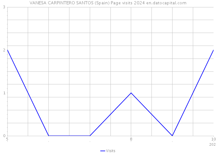 VANESA CARPINTERO SANTOS (Spain) Page visits 2024 