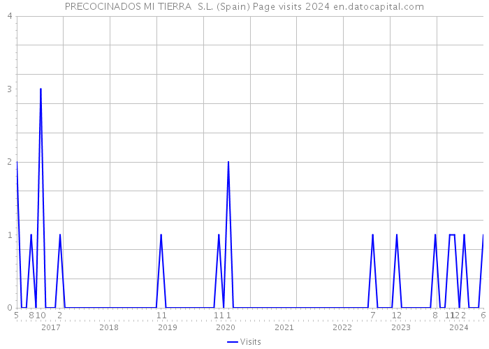 PRECOCINADOS MI TIERRA S.L. (Spain) Page visits 2024 