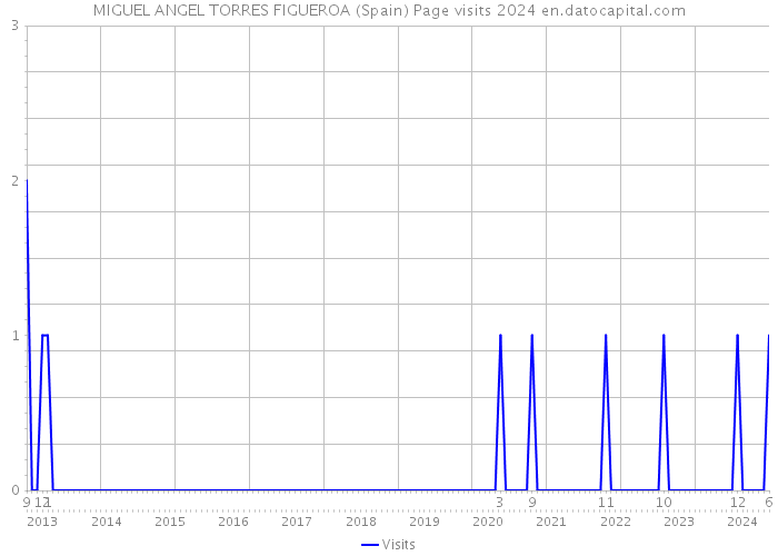 MIGUEL ANGEL TORRES FIGUEROA (Spain) Page visits 2024 