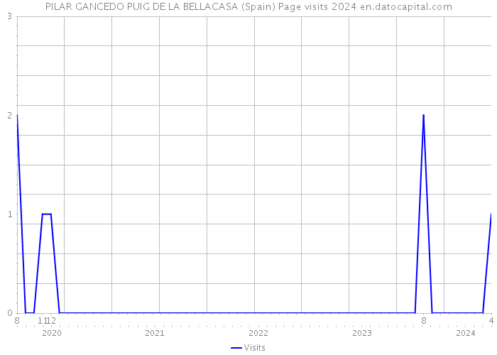 PILAR GANCEDO PUIG DE LA BELLACASA (Spain) Page visits 2024 