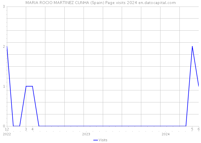 MARIA ROCIO MARTINEZ CUNHA (Spain) Page visits 2024 