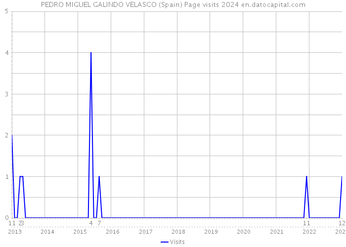 PEDRO MIGUEL GALINDO VELASCO (Spain) Page visits 2024 