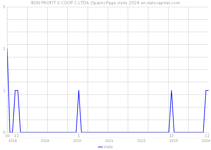 BON PROFIT S COOP C LTDA (Spain) Page visits 2024 