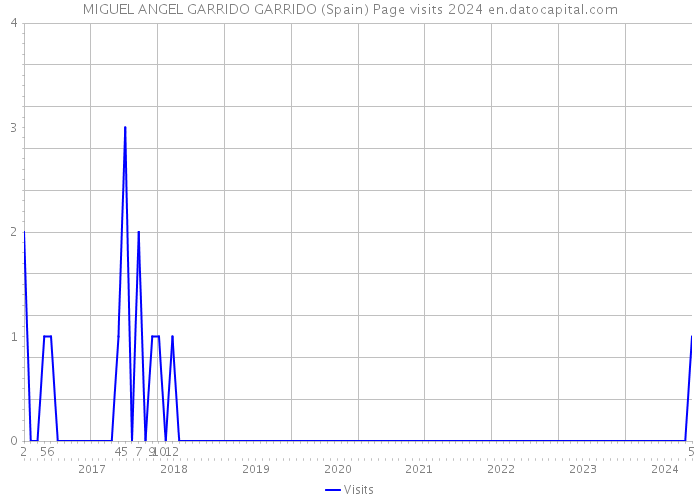 MIGUEL ANGEL GARRIDO GARRIDO (Spain) Page visits 2024 