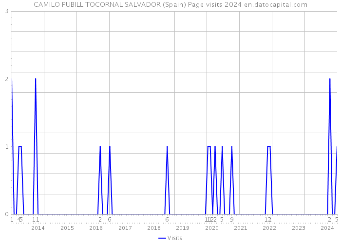 CAMILO PUBILL TOCORNAL SALVADOR (Spain) Page visits 2024 