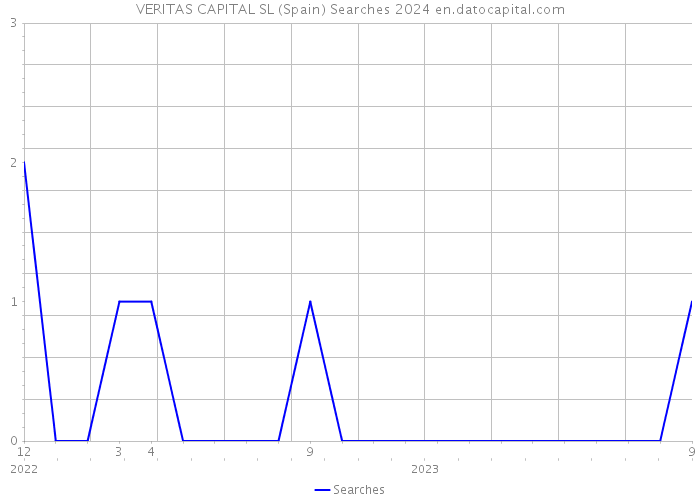 VERITAS CAPITAL SL (Spain) Searches 2024 