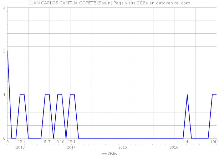 JUAN CARLOS CANTUA COPETE (Spain) Page visits 2024 