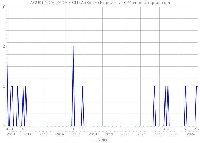 AGUSTIN CALZADA MOLINA (Spain) Page visits 2024 