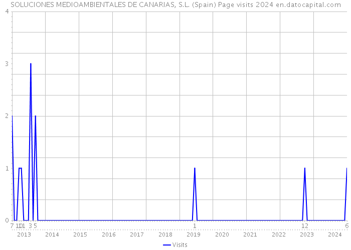 SOLUCIONES MEDIOAMBIENTALES DE CANARIAS, S.L. (Spain) Page visits 2024 