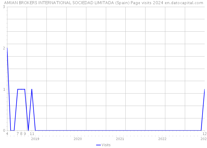 AMIAN BROKERS INTERNATIONAL SOCIEDAD LIMITADA (Spain) Page visits 2024 