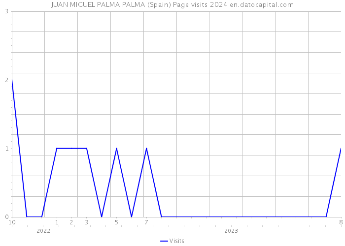 JUAN MIGUEL PALMA PALMA (Spain) Page visits 2024 