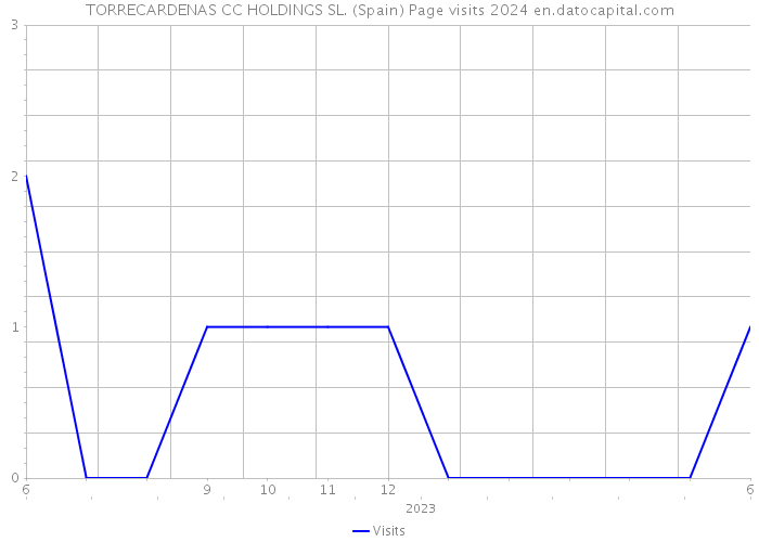 TORRECARDENAS CC HOLDINGS SL. (Spain) Page visits 2024 