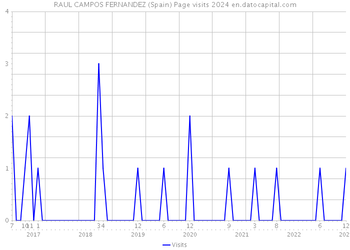 RAUL CAMPOS FERNANDEZ (Spain) Page visits 2024 