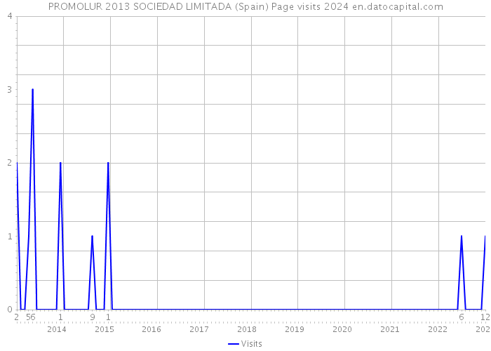 PROMOLUR 2013 SOCIEDAD LIMITADA (Spain) Page visits 2024 