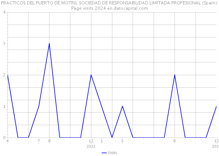 PRACTICOS DEL PUERTO DE MOTRIL SOCIEDAD DE RESPONSABILIDAD LIMITADA PROFESIONAL (Spain) Page visits 2024 