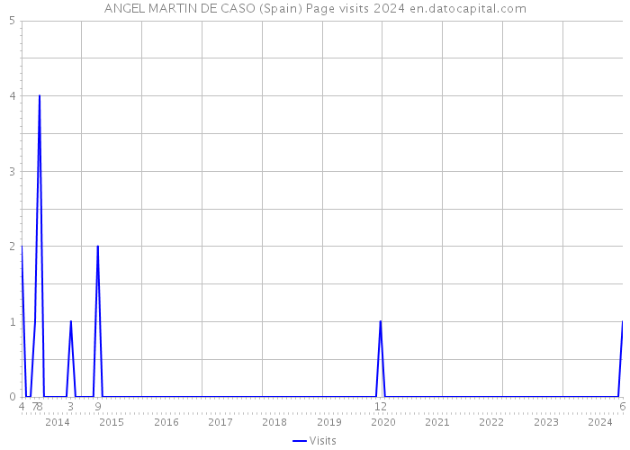 ANGEL MARTIN DE CASO (Spain) Page visits 2024 