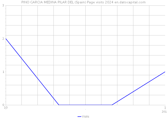 PINO GARCIA MEDINA PILAR DEL (Spain) Page visits 2024 