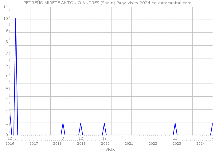 PEDREÑO MIRETE ANTONIO ANDRES (Spain) Page visits 2024 