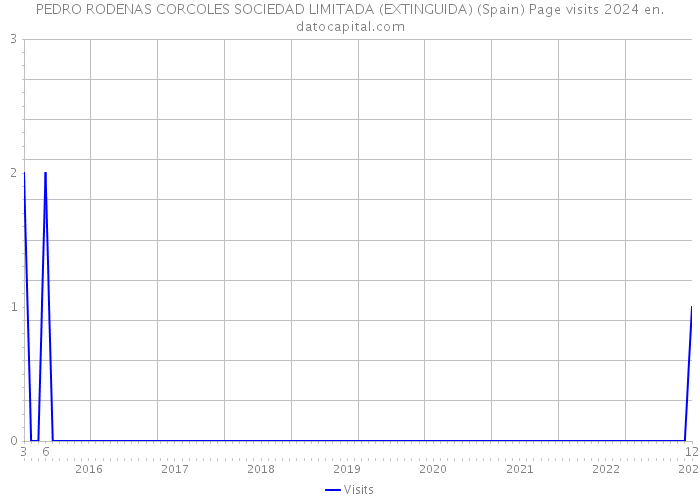 PEDRO RODENAS CORCOLES SOCIEDAD LIMITADA (EXTINGUIDA) (Spain) Page visits 2024 