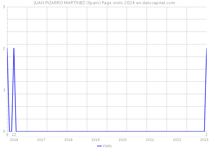 JUAN PIZARRO MARTINEZ (Spain) Page visits 2024 