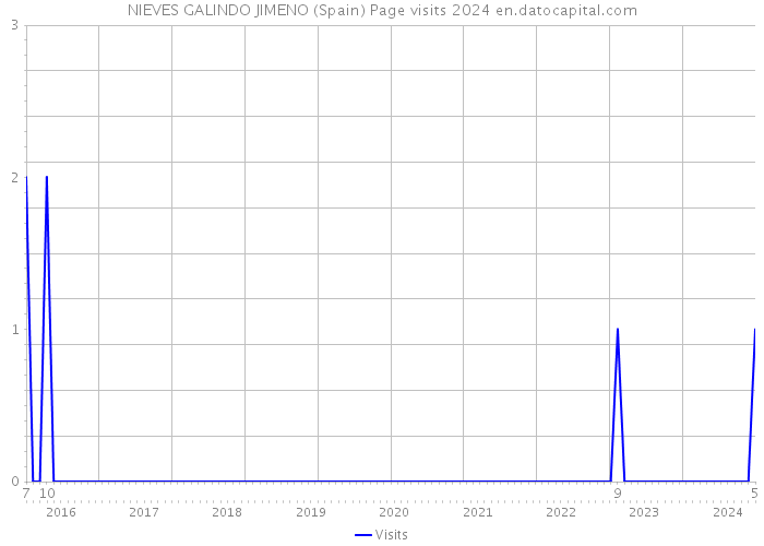 NIEVES GALINDO JIMENO (Spain) Page visits 2024 