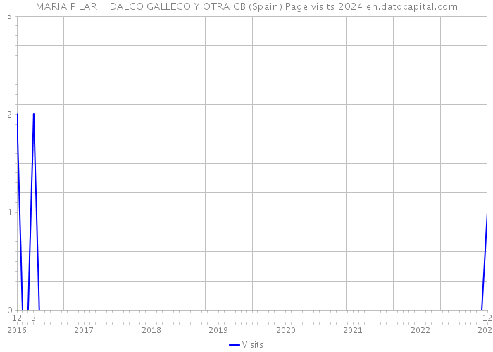 MARIA PILAR HIDALGO GALLEGO Y OTRA CB (Spain) Page visits 2024 