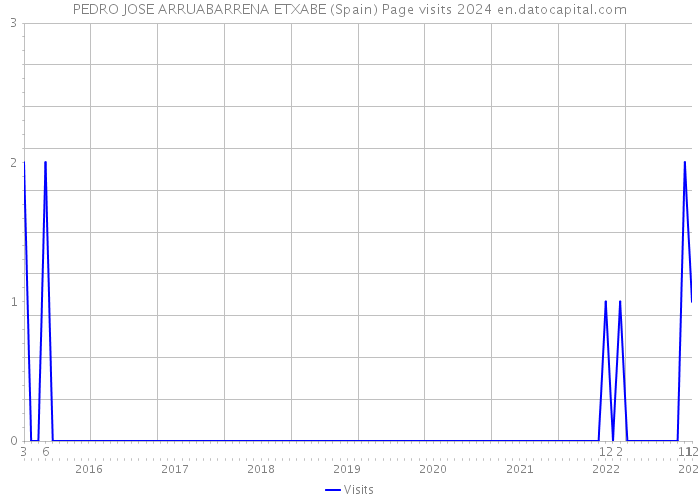 PEDRO JOSE ARRUABARRENA ETXABE (Spain) Page visits 2024 