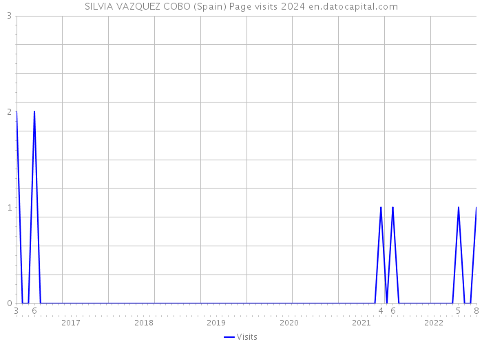 SILVIA VAZQUEZ COBO (Spain) Page visits 2024 