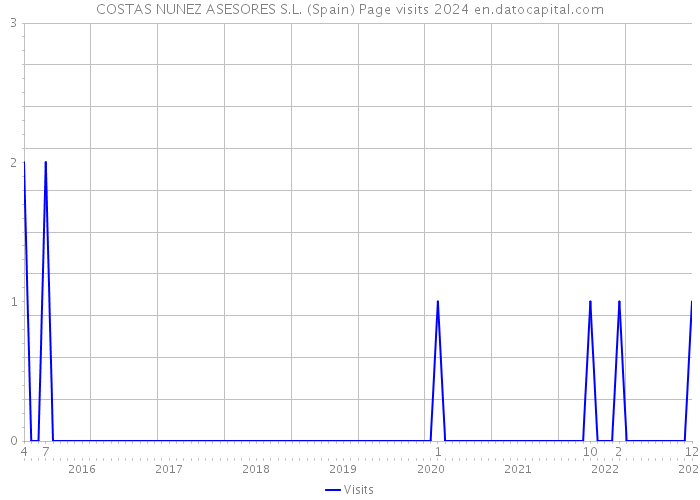 COSTAS NUNEZ ASESORES S.L. (Spain) Page visits 2024 