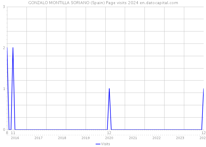 GONZALO MONTILLA SORIANO (Spain) Page visits 2024 