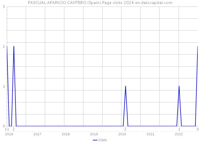 PASCUAL APARICIO CANTERO (Spain) Page visits 2024 