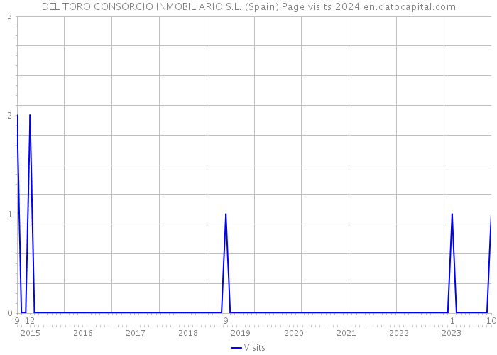 DEL TORO CONSORCIO INMOBILIARIO S.L. (Spain) Page visits 2024 