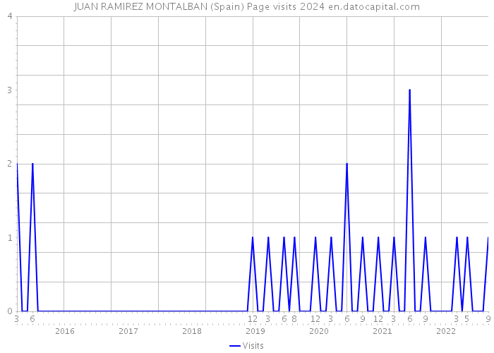 JUAN RAMIREZ MONTALBAN (Spain) Page visits 2024 