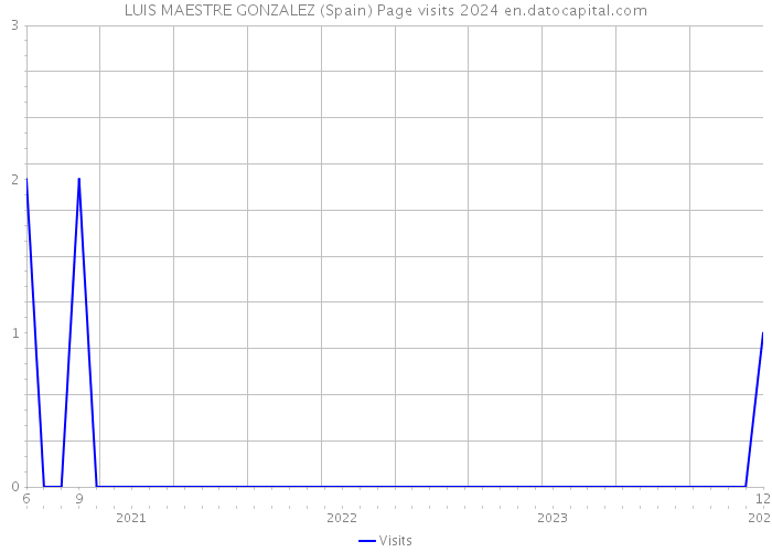 LUIS MAESTRE GONZALEZ (Spain) Page visits 2024 