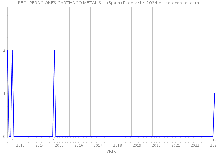 RECUPERACIONES CARTHAGO METAL S.L. (Spain) Page visits 2024 