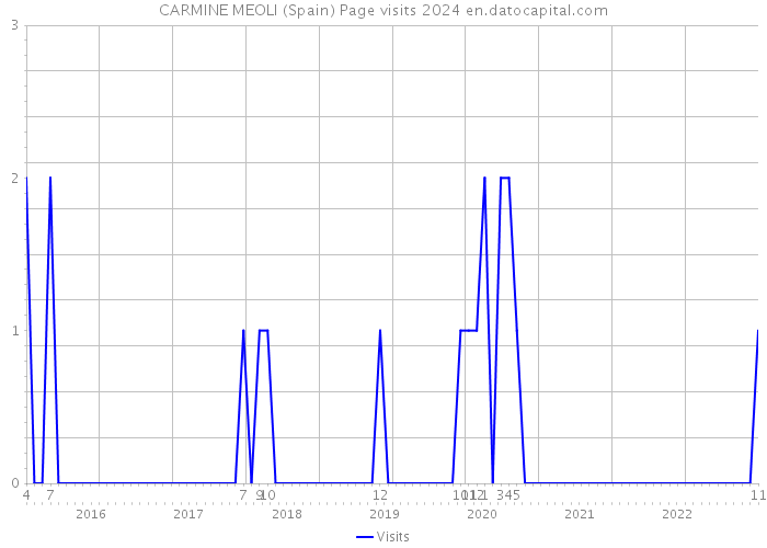 CARMINE MEOLI (Spain) Page visits 2024 