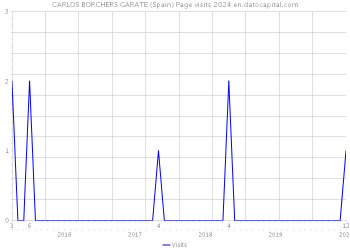 CARLOS BORCHERS GARATE (Spain) Page visits 2024 